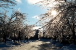 20131223_D7K_1232 (Ice Storm 2013: The Day After)