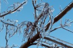 20131223_D7K_1236 (Ice Storm 2013: The Day After)