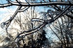 20131223_D7K_1238 (Ice Storm 2013: The Day After)