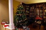 20131224_D7K_1252 (Merry Christmas!)