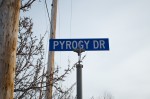 20140130_D7K_1439 (Giant Pyrogy)