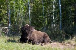 20140610_D7K_2412 (Northwest Territories)