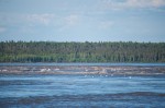 20140610_D7K_2426 (Northwest Territories)