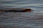 20140610_D7K_2438 (Northwest Territories)