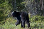 20140611_D7K_2440 – Version 2 (Northwest Territories)
