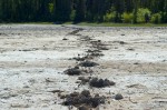 20140611_D7K_2501 (Northwest Territories)