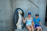 20140729_D7K_3471 (Day 3: New England Aquarium)