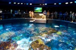20140729_D7K_3552 (Day 3: New England Aquarium)