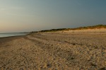 20140730_D7K_3720 (Day 4: Cape Cod)