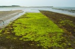 20140801_D7K_3853 (Day 6: Mayo Beach)