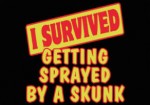 survivedskunk (Kudos to Gillian!)
