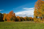 20141009_D7K_4807 (Eastern Townships)