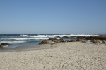 20150414_P1020670 (Pacific Grove)