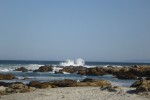 20150414_P1020674 (Pacific Grove)