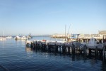 20150415_P1020722 (Pacific Grove)