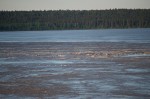 20150526_D7K_6066 (If Only Work Didn’t Get In The Way)