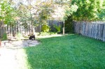 20150606_D7K_6363 (Backyard Makeover)