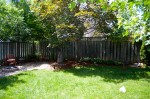 20150613_D7K_6588 (Backyard Makeover)
