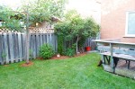 20150616_D7K_6596 (Backyard continued…)