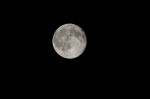 20150702_D7K_6843 (Blue Jays Game)