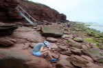 Click to enlarge photos (Day 2: Beachcombing and Lobster Dinner)