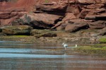 Click to enlarge photos (Day 2: Beachcombing and Lobster Dinner)