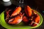 Click to enlarge photos (Day 2: Beachcombing and Lobster Dinner)