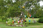 Click to enlarge photos (Day 3: Herons, Mosquitos and Lighthouses)