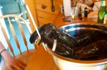 Click to enlarge photos (Day 13: Beachcombing, Lighthouse and Lobsters)