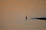 Click to enlarge photos (Day 14: Points East Lighthouses)