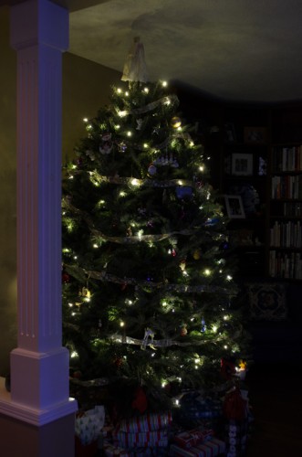 20151225-D7K_9683 (Merry Christmas!)