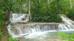 20160510-P1030041 (Dunn’s River Falls) 20160510-P1030041 (Dunn’s River Falls)