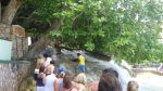 20160510-P1030046 (Dunn’s River Falls)