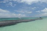 20160514-D7K_1191 (Last Day in Jamaica)