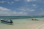20160514-D7K_1195 (Last Day in Jamaica) 20160514-D7K_1195 (Last Day in Jamaica)