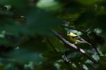 20160619-D7K_1866 (Happy Father’s Day)