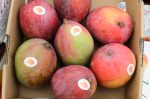 20170729-D7K_4755 (Farmers Market)