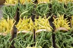 20170729-D7K_4765 (Farmers Market)