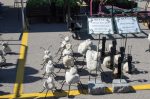 20170729-D7K_4769 (Farmers Market)