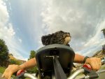 DCIM100GOPRO (Buddyrider)