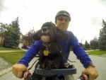 DCIM100GOPRO (Buddyrider)