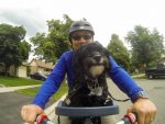 DCIM100GOPRO (Buddyrider)