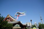 20180505-D7K_6290 (Japan 2018 Day 3: Tokyo)