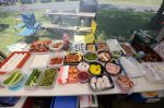 20180701-D7K_9951 (Canada Day Picnic)