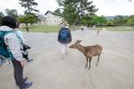 20180509-D7K_6905 (Japan 2018 Day 8: Osaka/Nara)