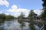 20180509-D7K_7003 (Japan 2018 Day 8: Osaka/Nara)