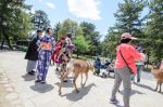 20180509-D7K_7057 (Japan 2018 Day 8: Osaka/Nara)