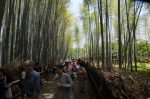 20180515-D7K_8113 (Japan 2018 Day 13: Kyoto)