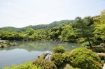 20180515-D7K_8123 (Japan 2018 Day 13: Kyoto)