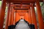 20180516-D7K_8273 (Japan 2018 Day 14: Kyoto)